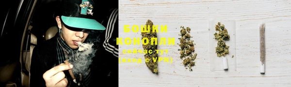 мет Бородино