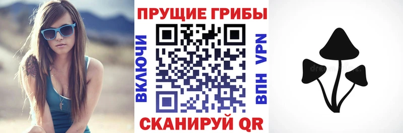 Купить закладки  Красавино  Галлюциногенные грибы GOLDEN TEACHER 